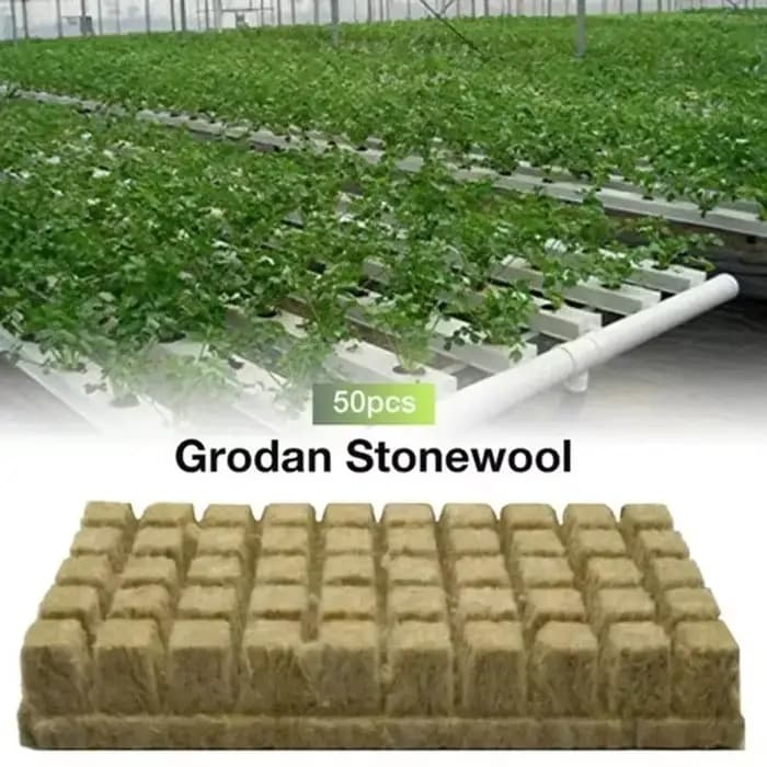 Stonewool Hydroponic Grow Media Cubes, Soillless Substrat, Seeded Rock Wool Plug, Seedling Night, Pl
