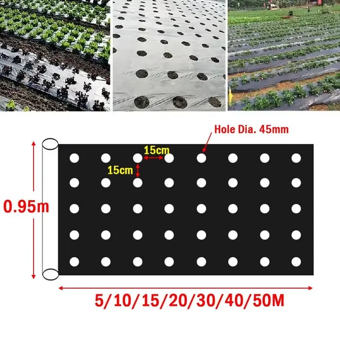 Paillis Perforé pour la Croissance de la Tomate Harvey, Contrôle des Mauvaises Herbes, Élevage de Fi