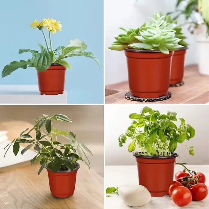 Pots de plantes en plastique avec étiquettes, récipients pour plantes à fleurs et semis, pots de dém