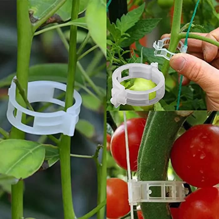Clips de Plantes en Plastique, Supports Connectés Réutilisables, Protection, Greffage, FiosphTool, F