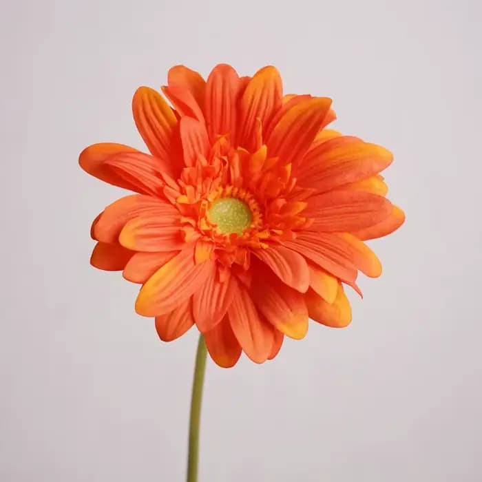 Branche de fleur artificielle Gerbera hydratante au toucher, décoration de mariage pour la maison, c