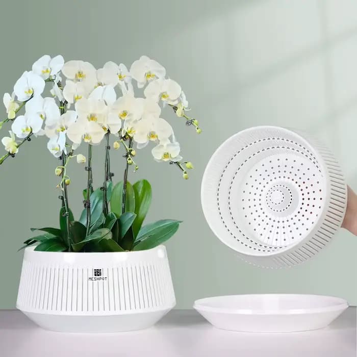 Pot d'orchidée en maille avec trous, Pot de fleur en plastique, Pots violets africains décoratifs av