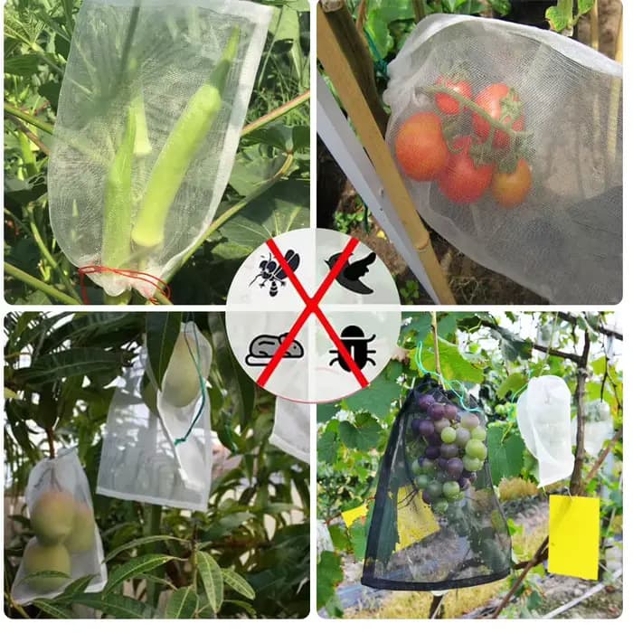 Sac en filet en Nylon, sacs de protection pour fruits, pour verger, raisin, pomme, Anti-oiseaux, lut