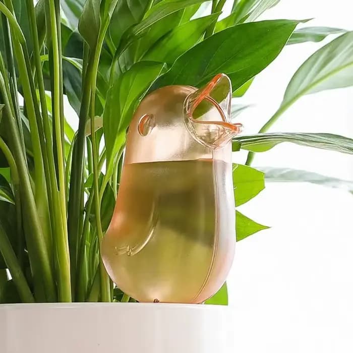 Outil d'arrosage automatique de jardin, kit de système d'irrigation goutte à goutte d'intérieur, abr