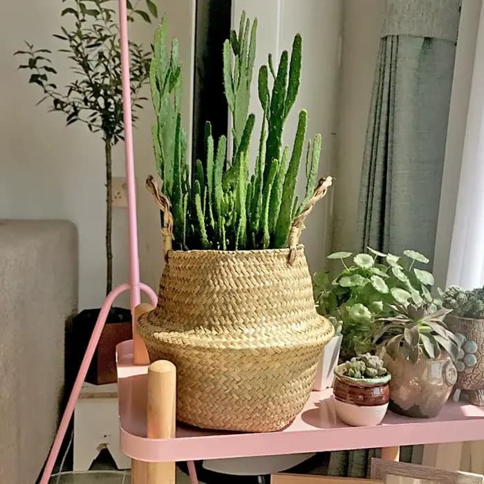 Tissé sale stockage jonc de mer osier rotin suspendu Pot de fleur plante organisateur jardin Gadgets