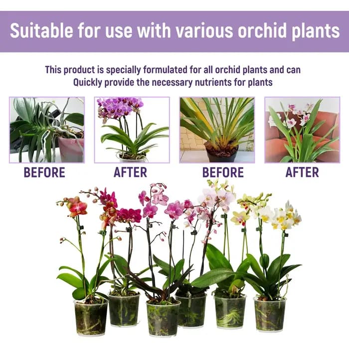 Liquide de croissance hydroponique pour plantes de jardin, complément de nutrition pour orchidées, c