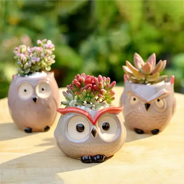Pot de fleur hibou en céramique, décoration de jardin et de bureau, Mini pot de fleurs succulentes,