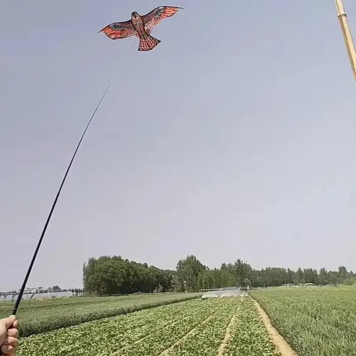 Anti oiseau volant faucon cerf-volant répulsif d'oiseaux grands cerfs-volants aigle épouvantail leur