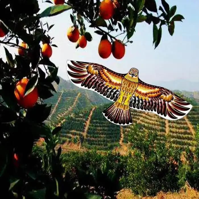 Anti oiseau volant faucon cerf-volant répulsif d'oiseaux grands cerfs-volants aigle épouvantail leur