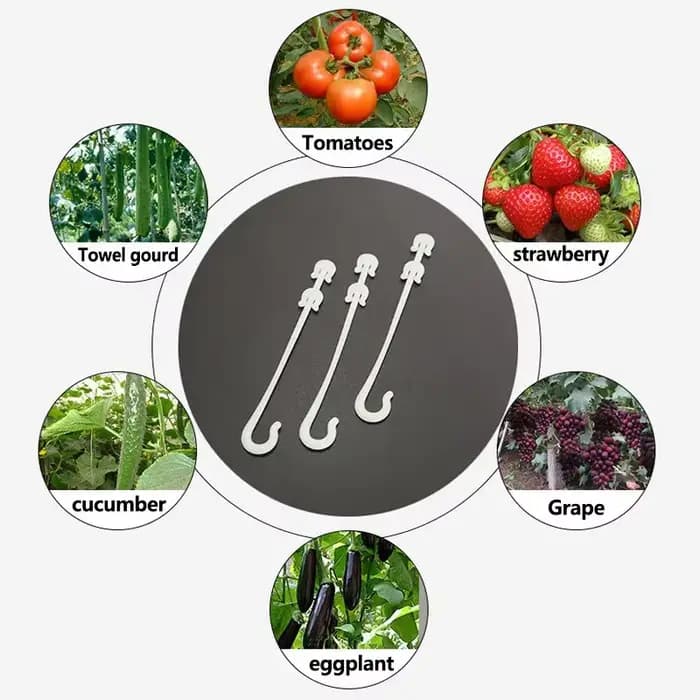Support de plantes tomates, crochets en forme de J, plantes végétales réutilisables, treillis, vigne