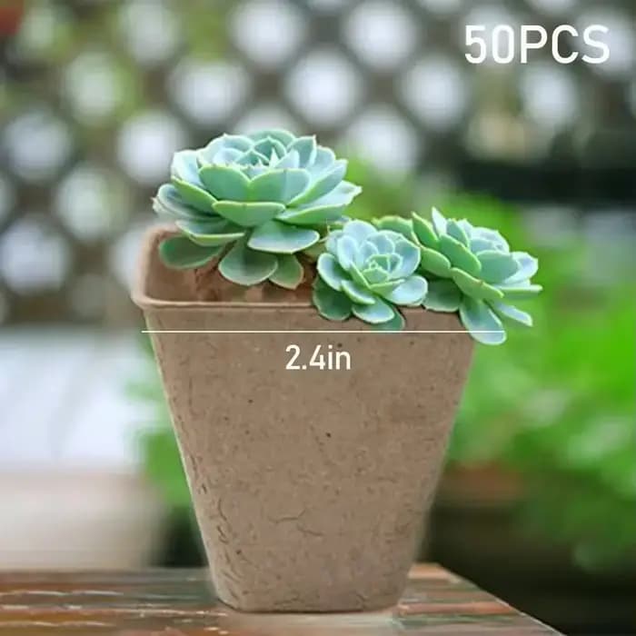 Pots de plantes pour pépinière, 50 pièces, plateau de jardin, Pots de torbe en pâte de papier biodég