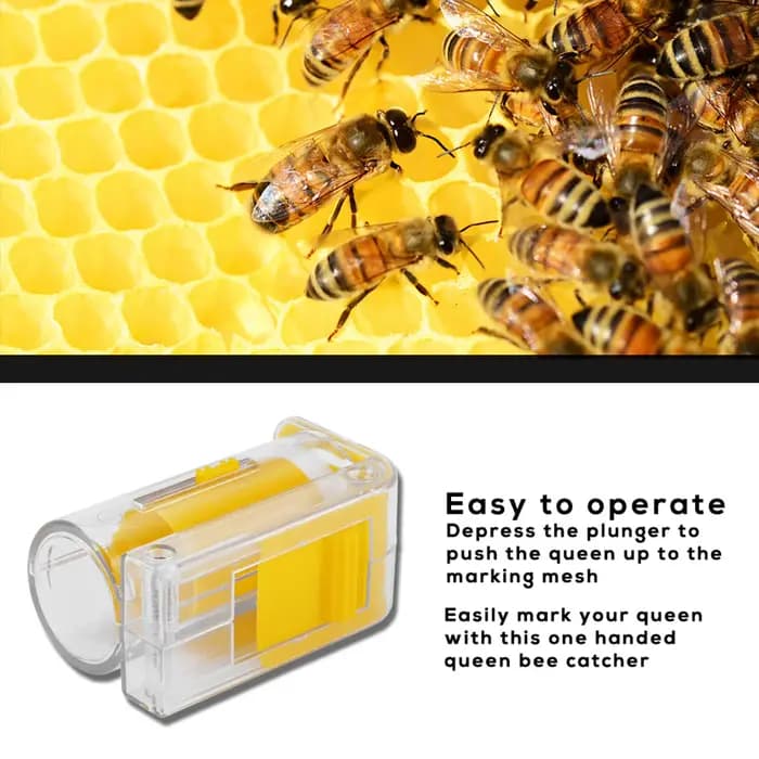 Kit de capture d'abeilles queen à une main, outil de marquage d'abeilles en plastique avec piston et