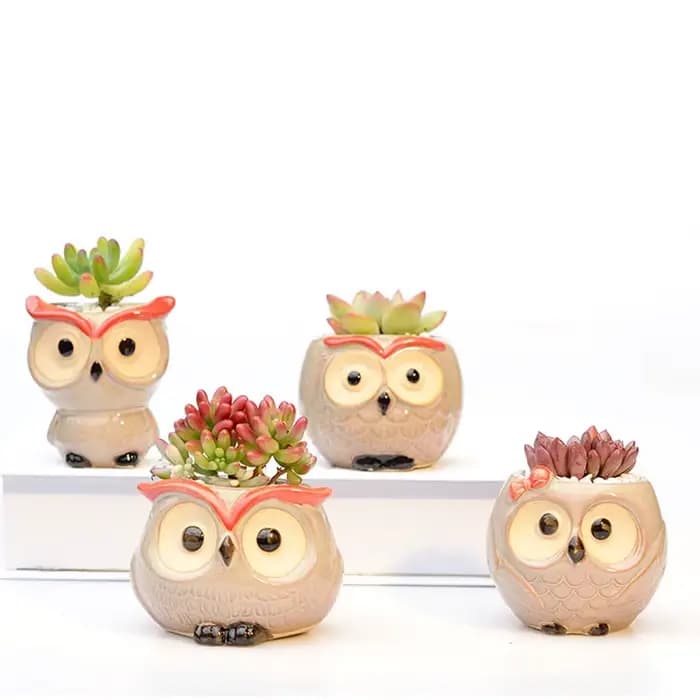 Pot de fleur hibou en céramique, décoration de jardin et de bureau, Mini pot de fleurs succulentes,