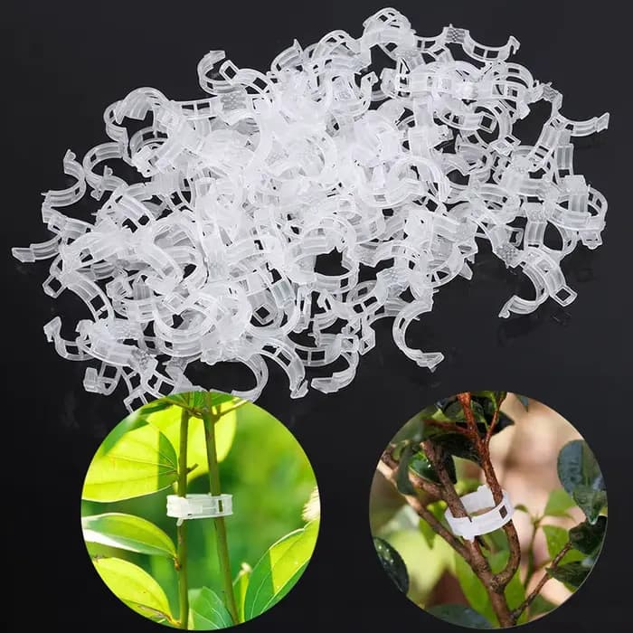 Clips de Plantes en Plastique, Supports Connectés Réutilisables, Protection, Greffage, FiosphTool, F