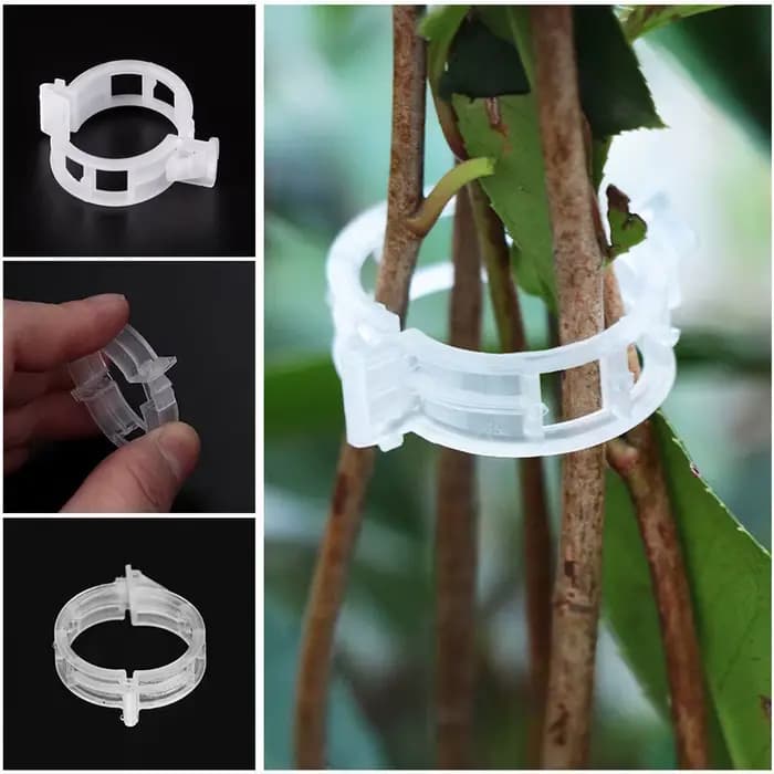 Clips de Plantes en Plastique, Supports Connectés Réutilisables, Protection, Greffage, FiosphTool, F