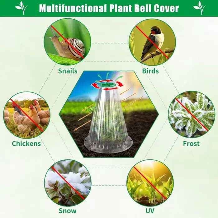 5/10 PIÈCES Protège-plantes anti-limaces pour légumes, protège-plantes pour semis, accessoires de ja