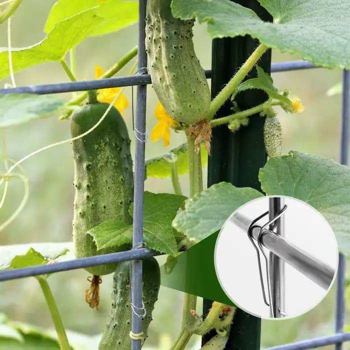 Boucles de connexion en treillis pour plantes, 50 pièces, Support de tuyau d'escalade, outil de fixa