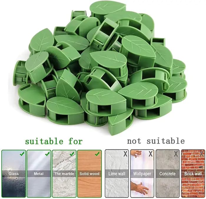 Clips de fixation muraux invisibles pour plantes grimpantes, 10-50 pièces, support de vigne en rotin