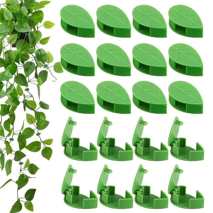 Clips de fixation muraux invisibles pour plantes grimpantes, 10-50 pièces, support de vigne en rotin