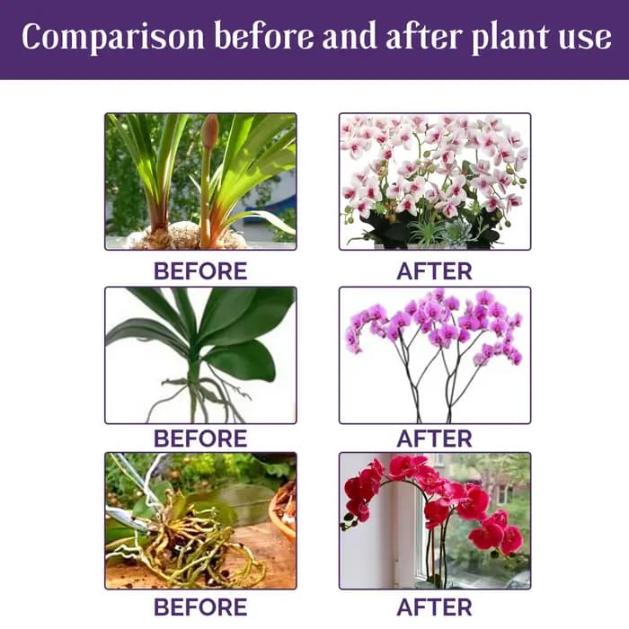 Liquide de croissance hydroponique pour plantes de jardin, complément de nutrition pour orchidées, c