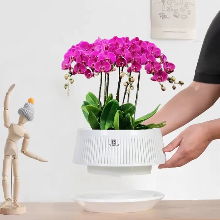 Pot d'orchidée en maille avec trous, Pot de fleur en plastique, Pots violets africains décoratifs av