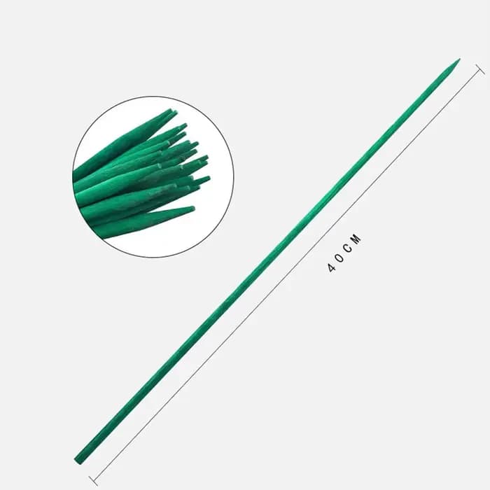 Bâtons de support pour plantes vertes, cannes, fleurs, piquet de plante de jardin, décorations de va