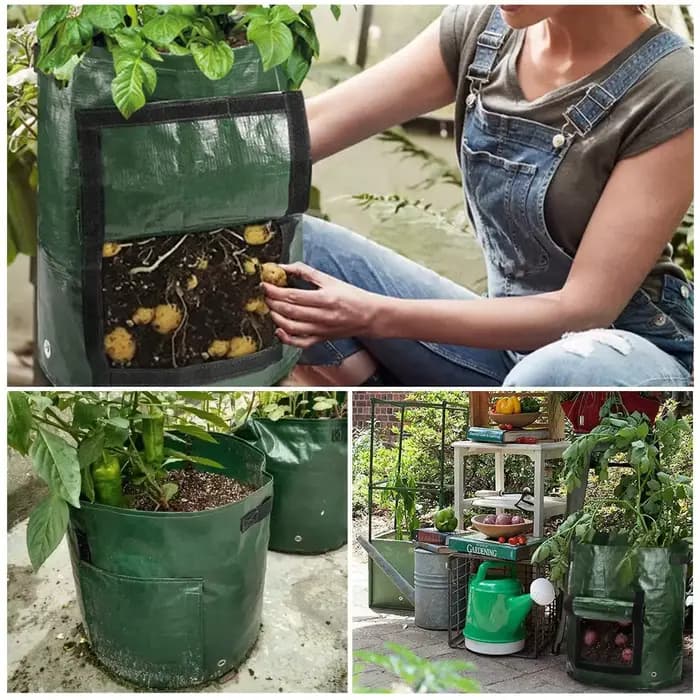 Sacs de culture de jardin 3/5/7/10 gallons, sacs de culture de pommes de terre, sacs de culture de p