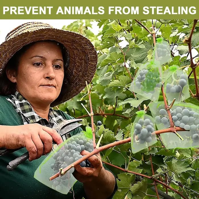 100 sacs de protection pour raisins, sacs en filet de jardinage, sacs agricoles pour la lutte antipa