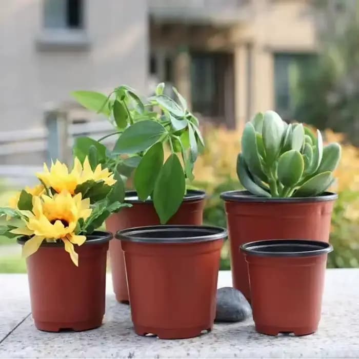 Pots de plantes en plastique avec étiquettes, récipients pour plantes à fleurs et semis, pots de dém