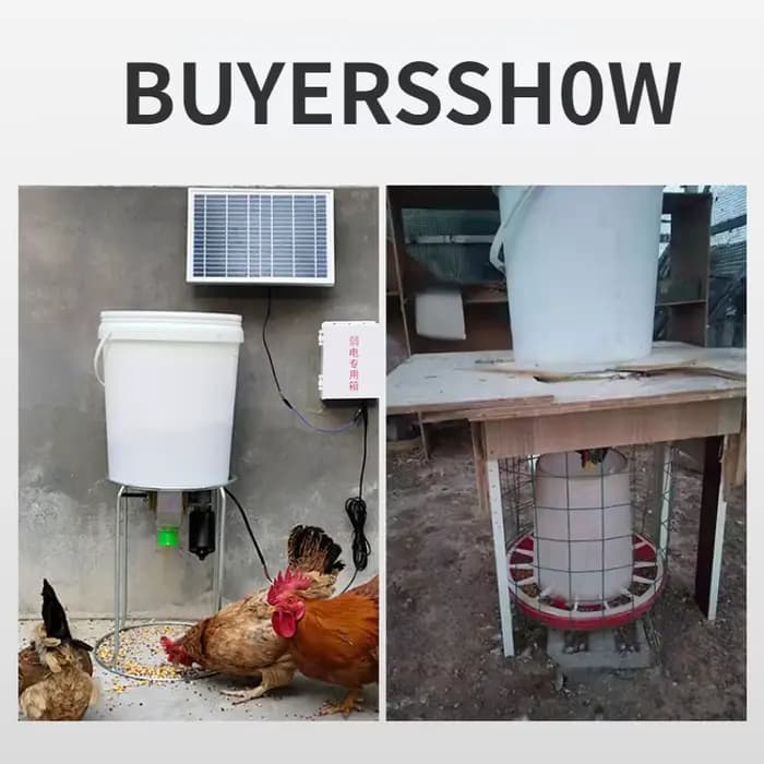 Mangeoire automatique pour poulets, support pour pigeons, canards, mangeoire pour pigeons, synchroni