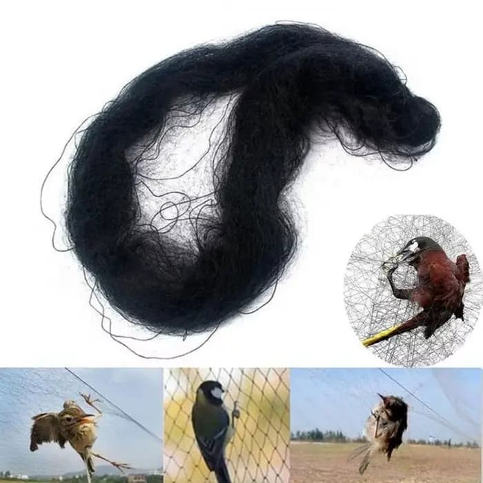 Filet anti-brume anti-oiseaux en maille de 15M, protection pour verger agricole, prévention des domm