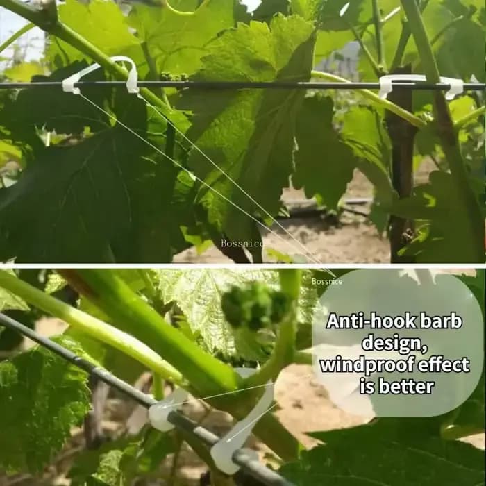 Clips de Support pour plantes en plastique, 50 à 400 pièces, 6CM, Clips de fixation pour tomates et