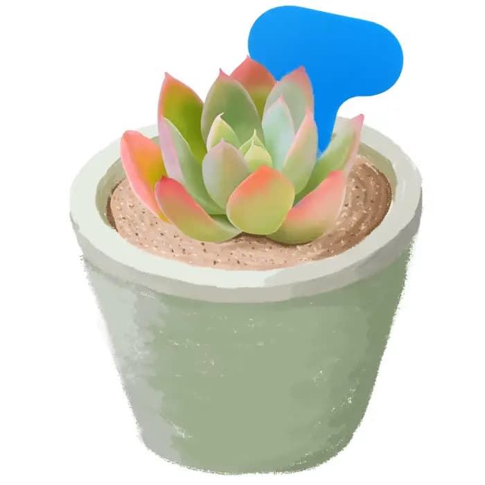 Étiquettes pour plantes de jardin, marqueur 50x70MM, Classification colorée, tri, signe de bonsaï, b