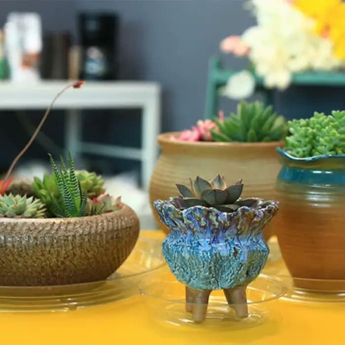 Plateau d'égouttage pour plantes de jardin, 10 pièces, Base ronde pour Pot, récipient de collation T