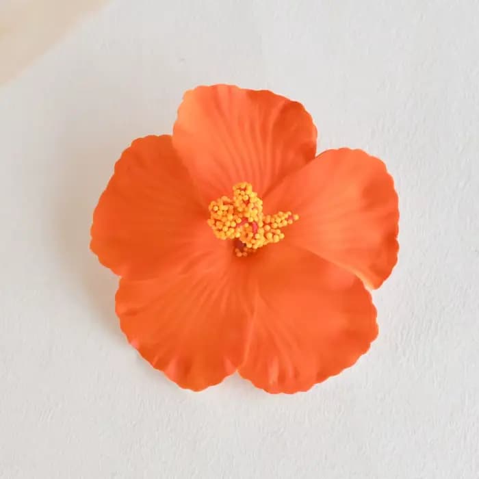 5/10 pièces 10cm fleur d'hibiscus fête hawaïenne plage d'été décoration de Table d'anniversaire fleu