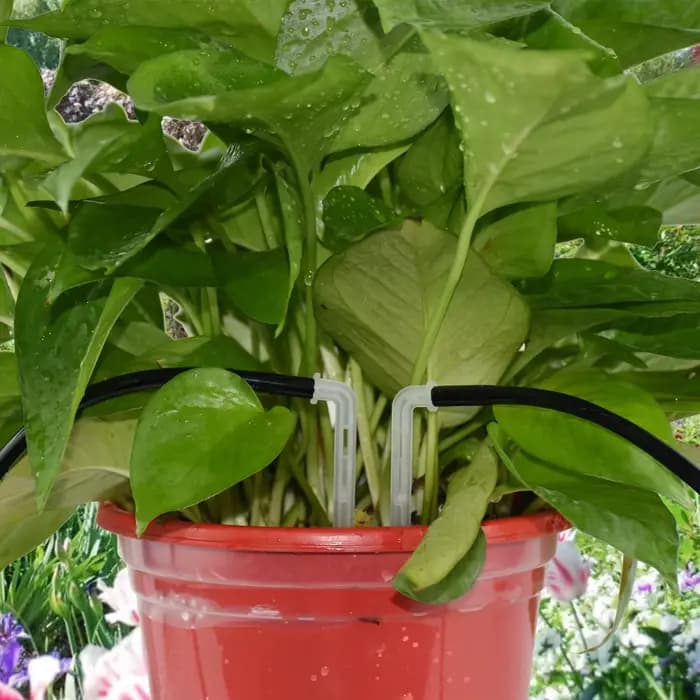 SPRYCLE – goutte-à-goutte d'irrigation goutte-à-goutte à flèche courbée 1/4, connecteur de tuyau d'e