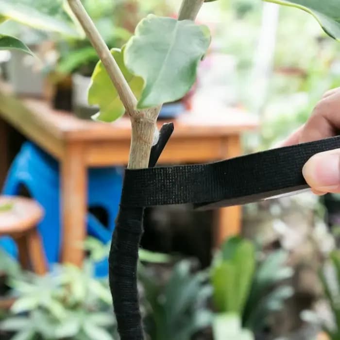 Ruban d'enroulement de bonsaï, ruban d'emballage de fleurs, bandes de tissu d'arbre, outils magiques
