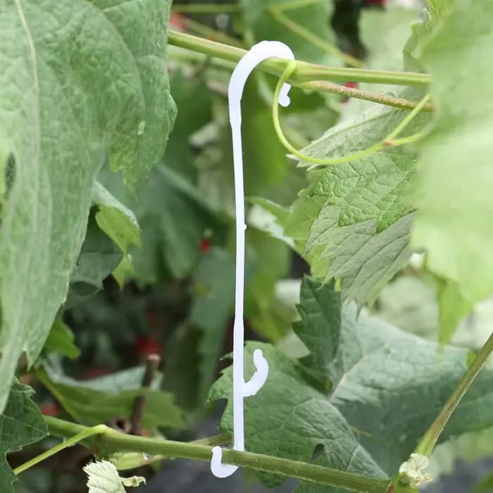 Crochets en forme de J réutilisables pour plantes végétales, support de tomate, treillis de fruits,