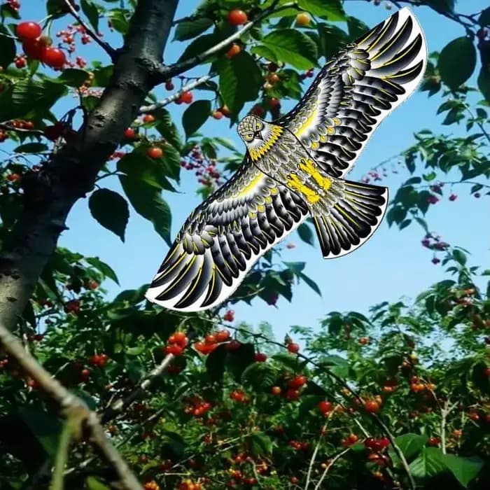 Anti oiseau volant faucon cerf-volant répulsif d'oiseaux grands cerfs-volants aigle épouvantail leur