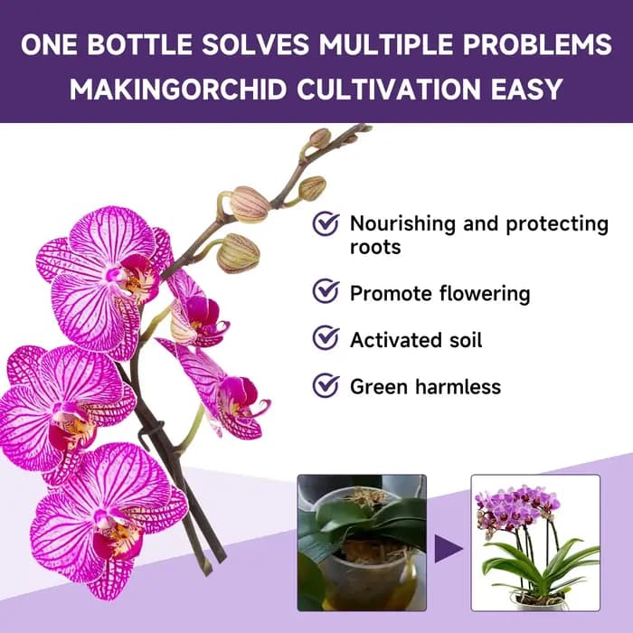 Liquide de croissance hydroponique pour plantes de jardin, complément de nutrition pour orchidées, c