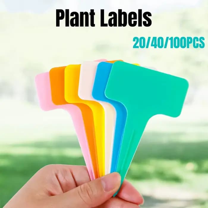 Marqueurs de plantes en plastique PVC blanc de type T, 6x10cm, 20/100 pièces, pour pépinière, jardin