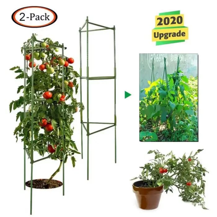 Piquets de support pour plantes de jardin, vigne grimpante T1, bras, connecteurs de cadre en pot ext