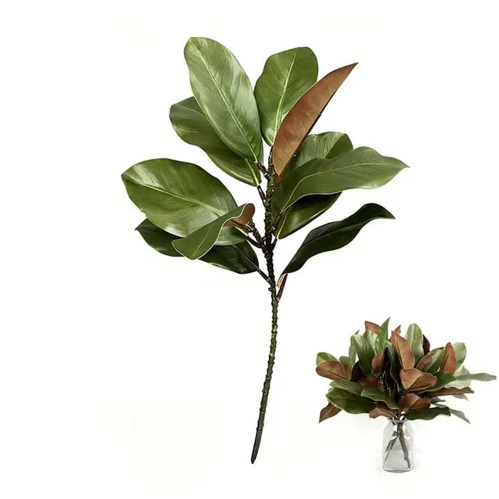 Feuilles de magnolia de style artistique de plante verte simulée, adaptées à la décoration de la mai
