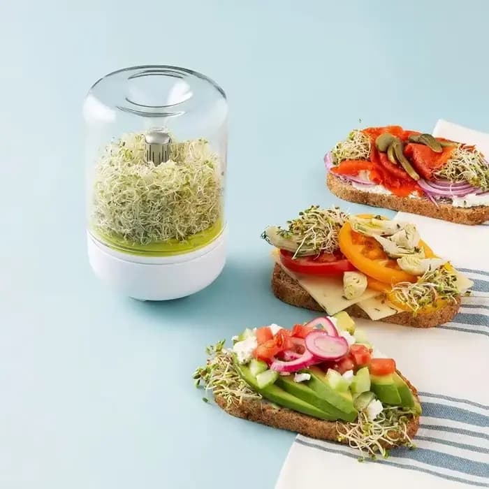 Kit de germes de comptoir, récipient de culture de graines réutilisable pour la cuisine, jardinage,