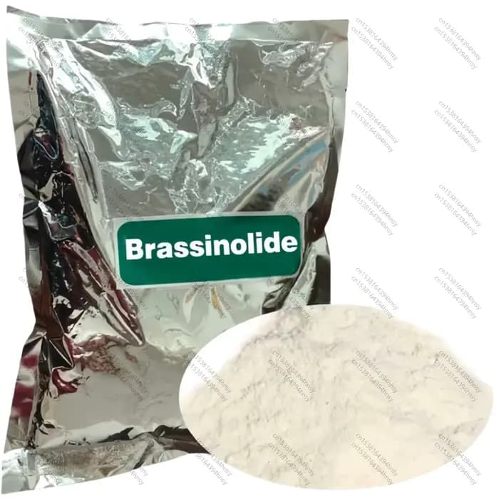 LOLO Brassinolide Naturelle 0.15% SP BR Régulateur de Cresissance des Plantes Homobrassinolide Brass