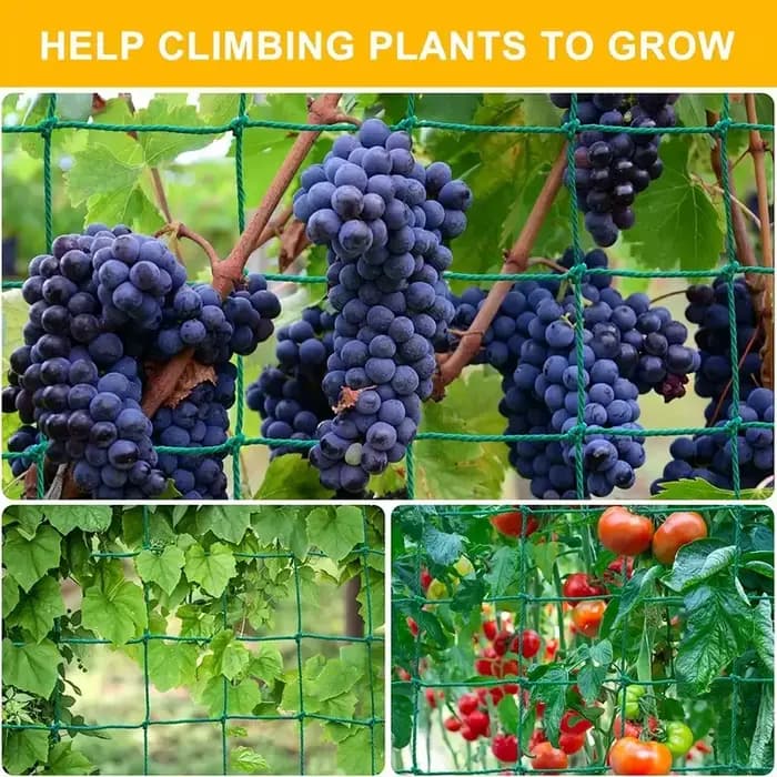 1 pièces filet en treillis extérieur robuste en Nylon plante grimpante filet pour concombre tomate F