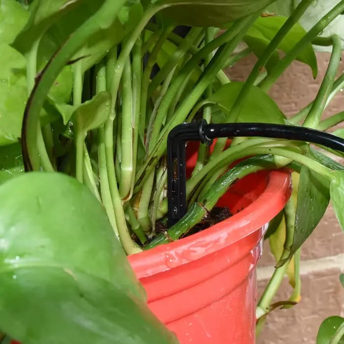 SPRYCLE-Micro système d'irrigation goutte-à-goutte avec connecteur 2 voies, tuyau en PVC, tube 140 e
