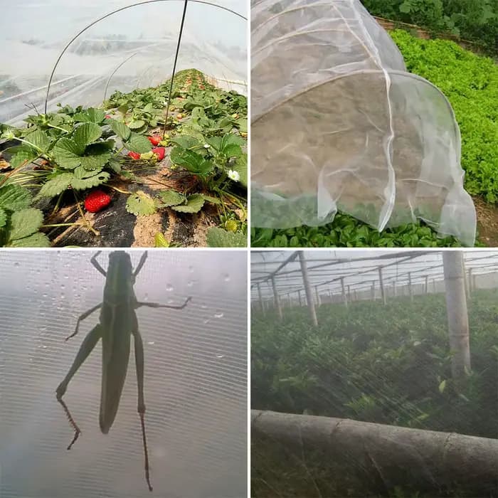 Filet de Protection contre les insectes, plante de jardin, légumes, fruits, fleurs, couverture de se