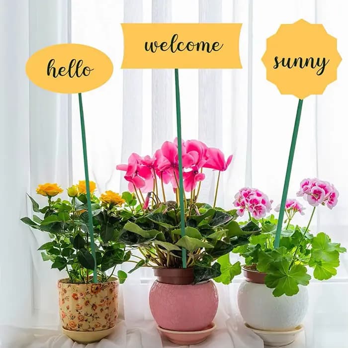Bâtons de support pour plantes vertes, cannes, fleurs, piquet de plante de jardin, décorations de va