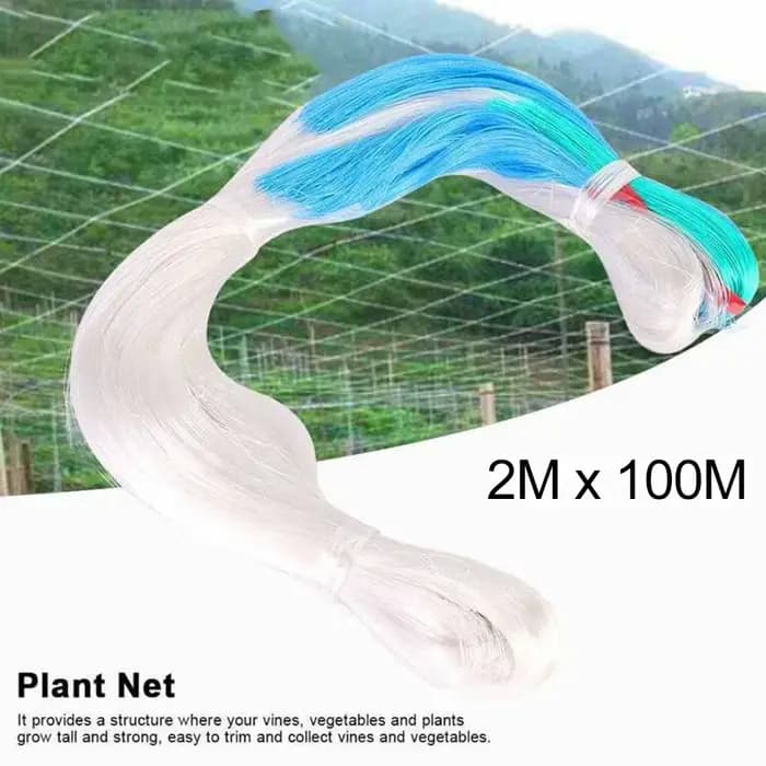 Filet en treillis pour plantes grimpantes, support de croissance pour fleurs et vigne, 2m x 100m